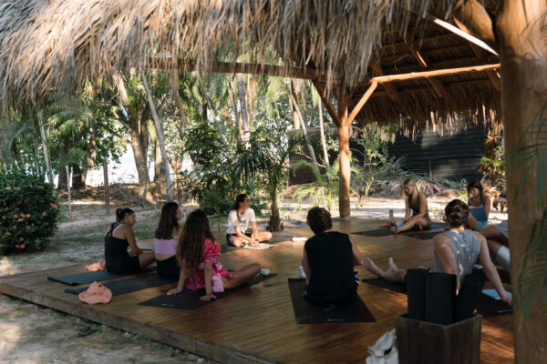 yoga in the jungle